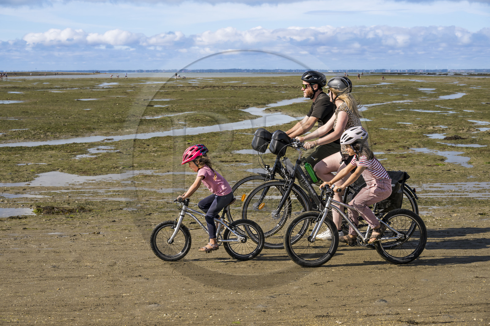 France, Vendée (85), île de Noirmoutier, Barbatre, famille de cyclistes sur l'estran en bordure du passage du Gois, chaussée submersible qui relie l'île au continent à marrée basse