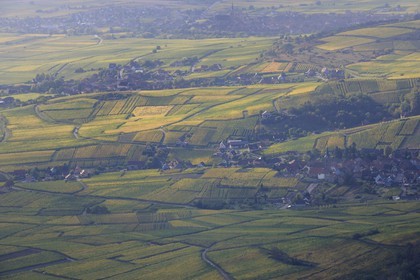 France, Haut-Rhin (68), villages vers Bergheim entourés par le vignoble depuis le château du Haut-Koenigsbourg