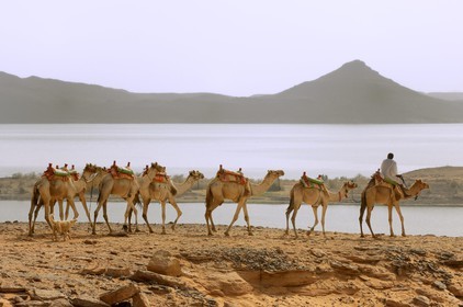 Egypt, Upper Egypt, Lake Nasser, Nubia desert, Wadi es-Sebua site or Valley of the Lions, camel caravan