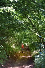 France, Puy-de-Dôme (63), Aydat, Parc naturel régional des Volcans d'Auvergne sur le parcours Musette nature sentier de Vichatel, randonneuse sur les pentes du volcan du Puy de Vichatel