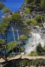 France, Var, Six Fours les Plages, hike in the Cap Sicie massif, Mont Salva beach towards Le Brusc