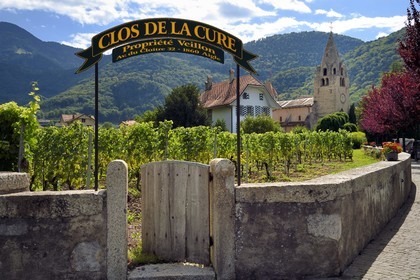 Switzerland, Canton of Vaud, Aigle, Clos de la Cure wine estate in the heart of the city