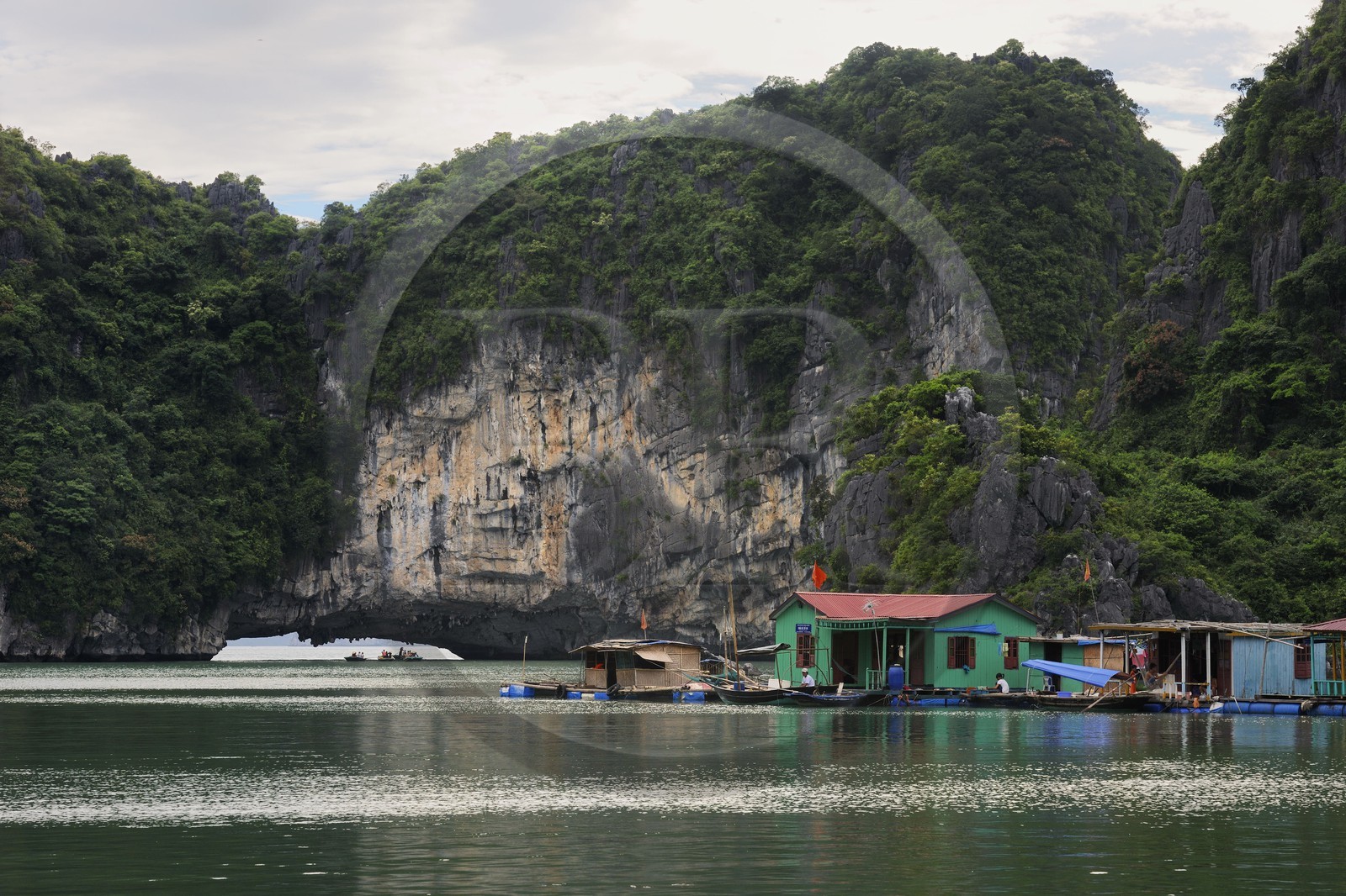 Vietnam, province de Quang Ninh, la Baie d'Halong classée Patrimoine Mondial de l'UNESCO, village flottant de pêcheurs de Vong Vieng