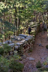 France, Bas Rhin, Mont Saint Odile, hike along the Pagan Wall, vestige of a wall probably from the Merovingian period with a total length of eleven kilometers