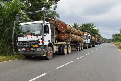 Gabon, Province de l'Estuaire, camions transportant des troncs d'arbre dans la région d'Ekouk sur la Route National 1
