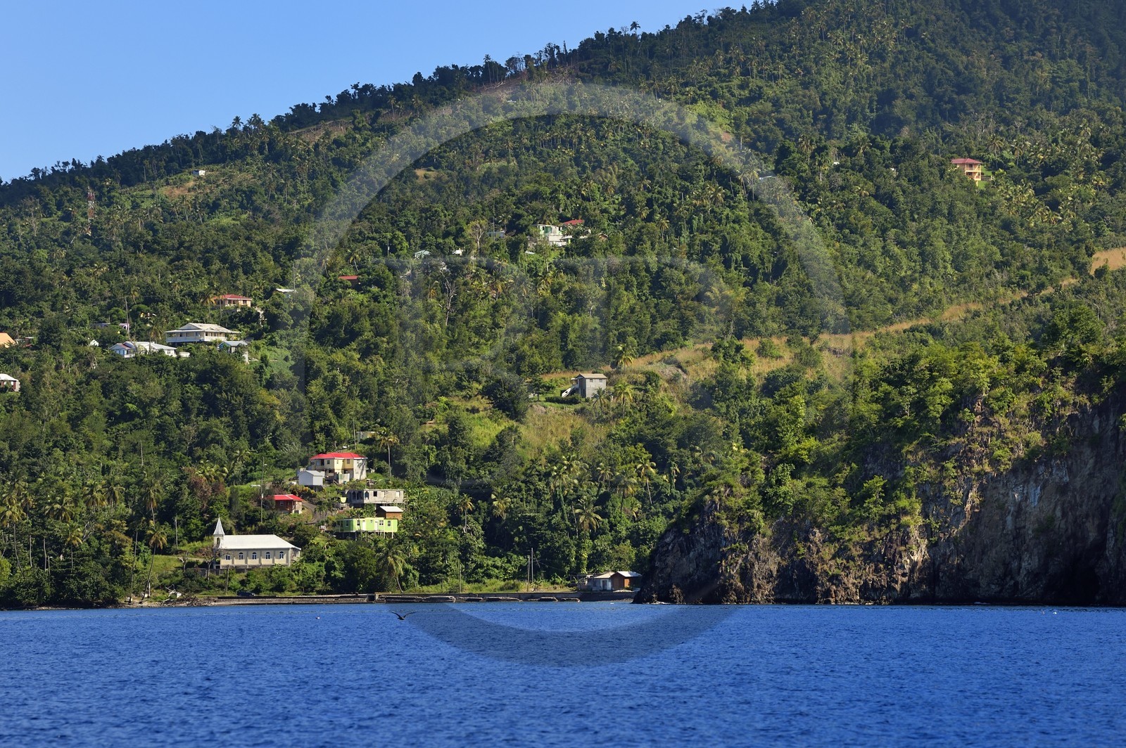 Caraïbes, Ile de la Dominique, Toucari Bay au nord de Portsmouth