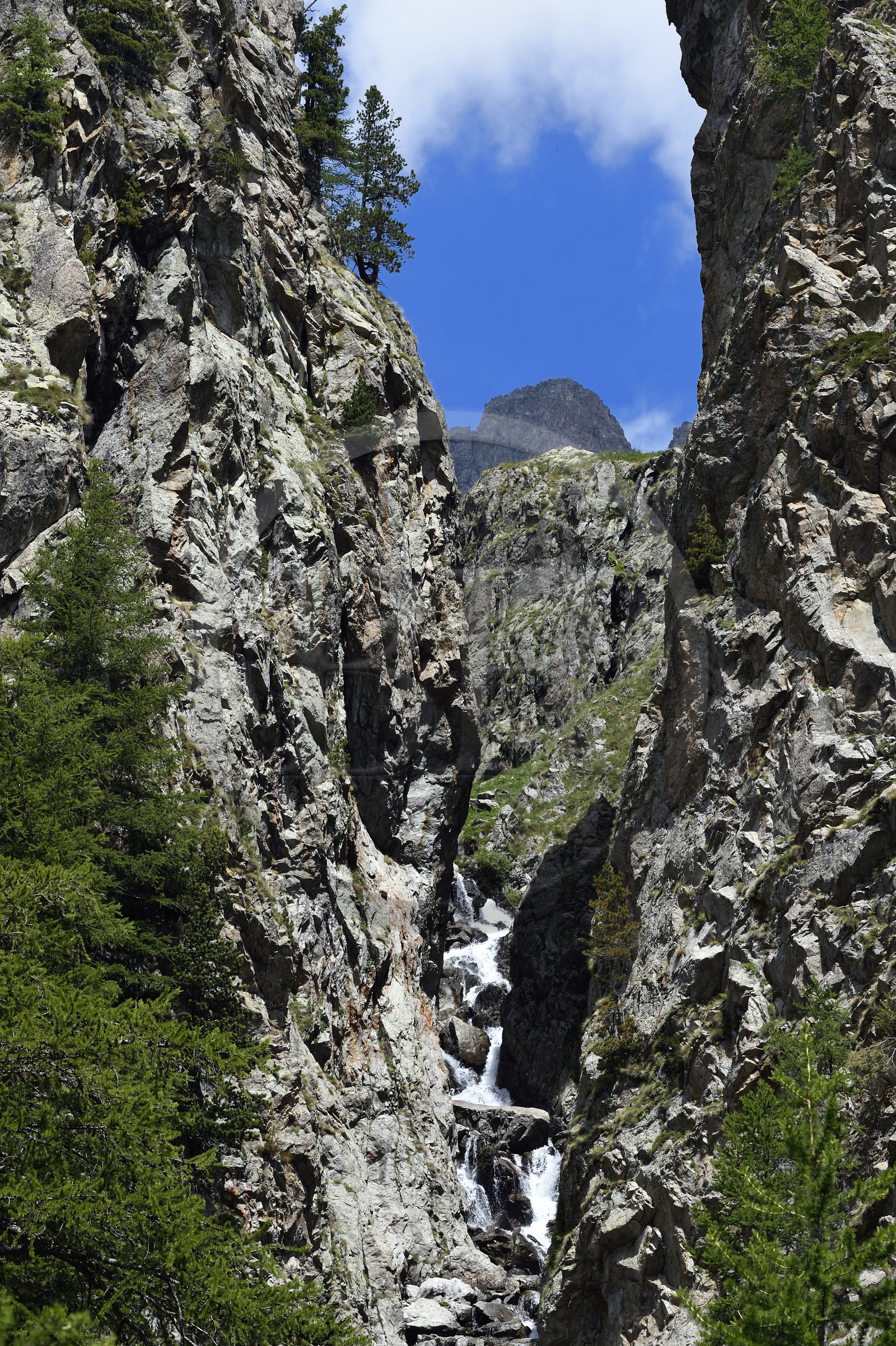 France, Alpes-Maritimes (06), parc national du Mercantour, vallée de la Valmasque, cascade dans le verrou glaciaire