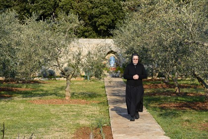 Croatia, Dalmatia, Dalmatian Coast, Ugljan Island, Franciscan St. Jerome Convent of the Congregation of the Sisters of Mercy, sister Theresija in the field of olive trees