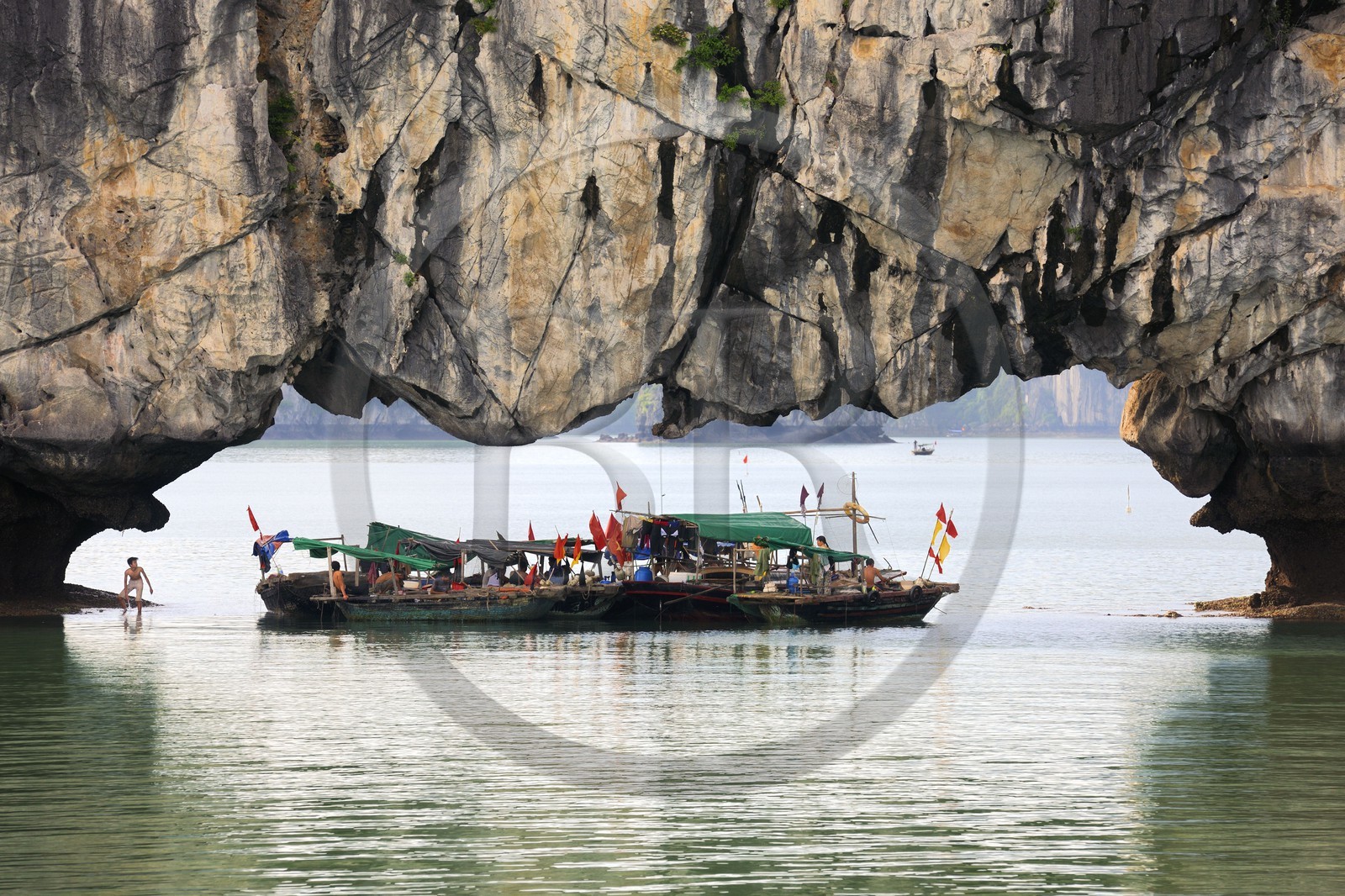 Vietnam, province de Quang Ninh, la Baie d'Halong classée Patrimoine Mondial de l'UNESCO, regroupement de bateaux de pêche sous une arche naturelle d'un ilot calcaire