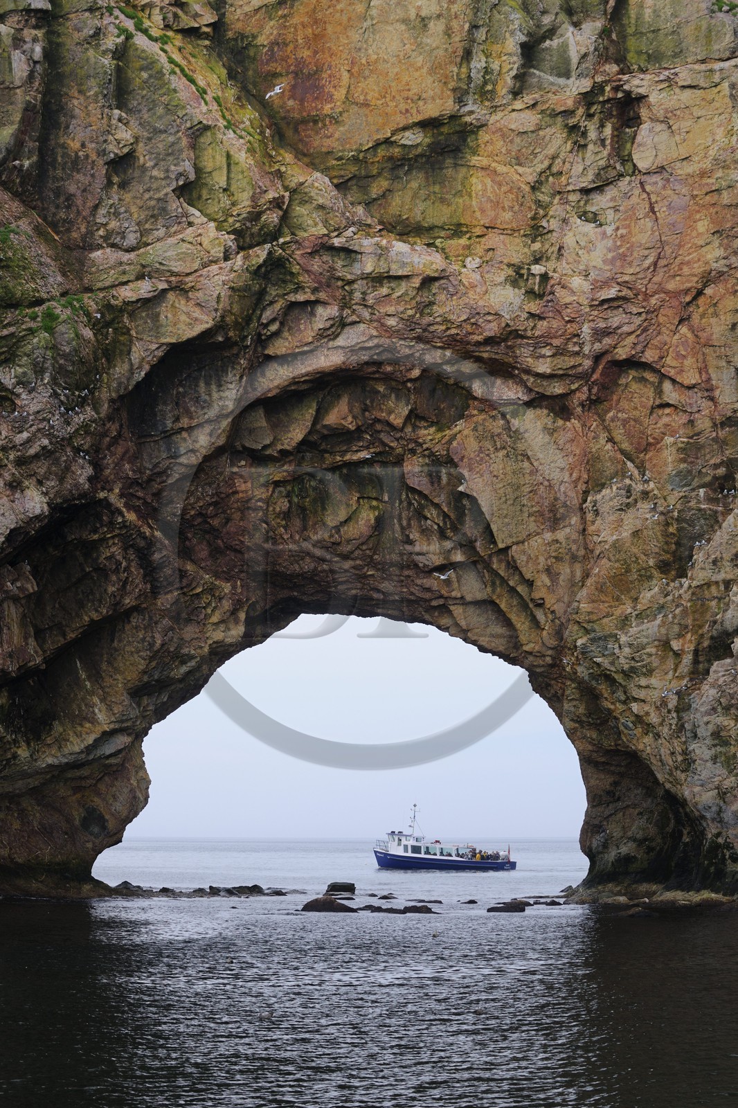 Canada, province de Québec, Gaspésie, le Rocher Percé