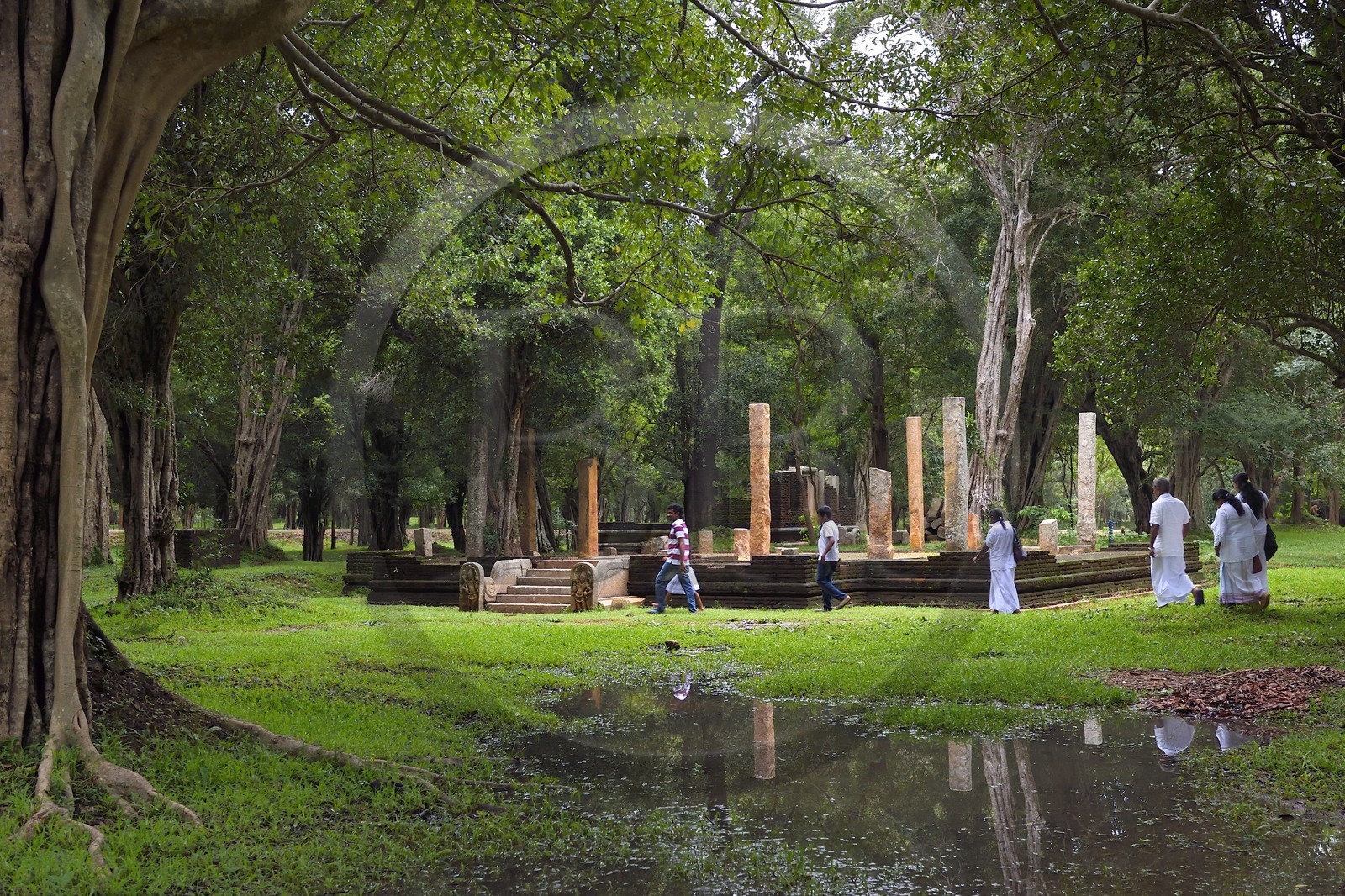 Sri Lanka, province du Centre-Nord, site d'Anuradhapura classé Patrimoine Mondial de l'UNESCO, capitale du Sri Lanka au IIIe siècle avant JC, ruines au Parc Mahamevnawa