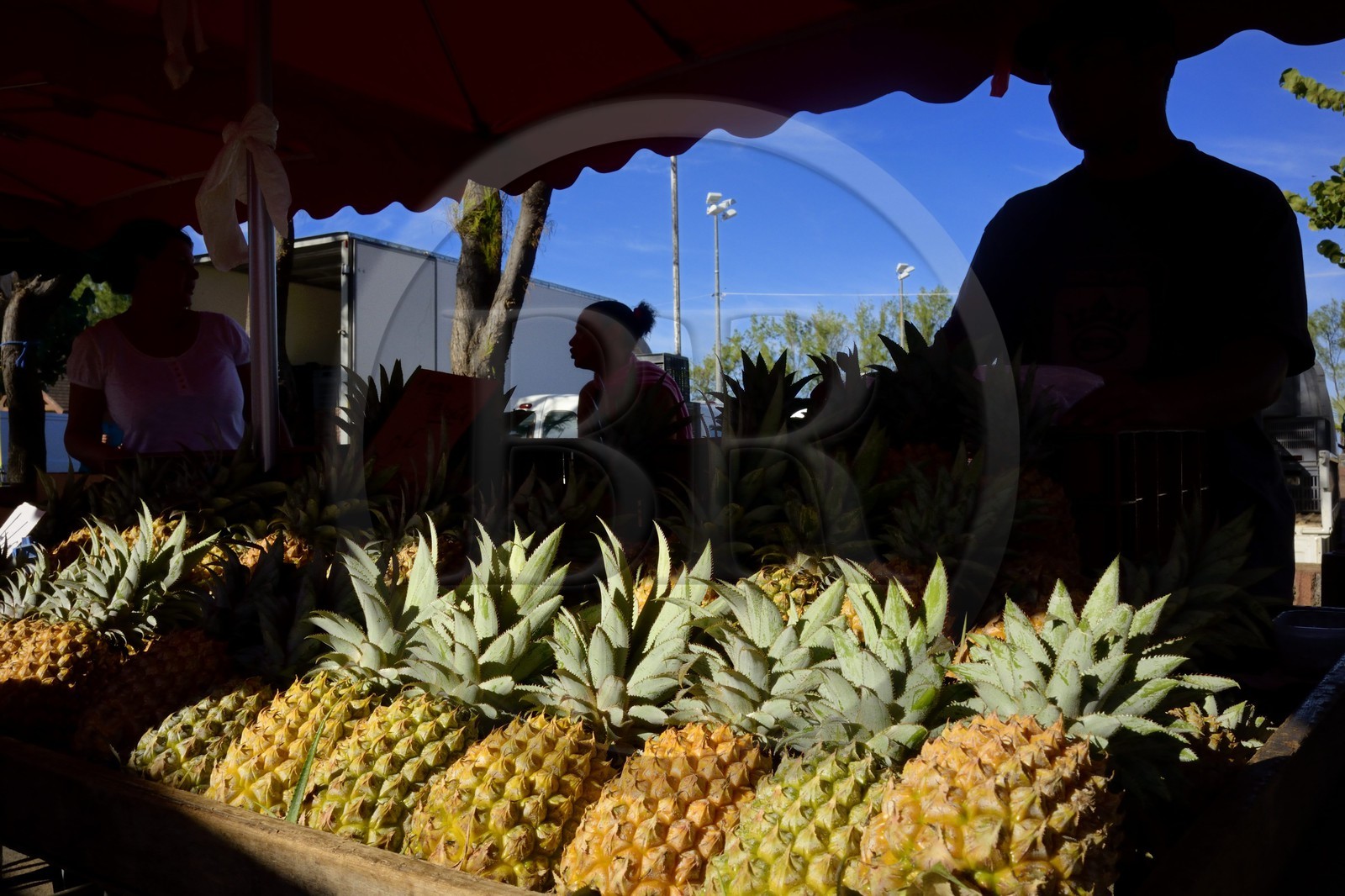 France, Ile de la Reunion, Saint-Pierre, le marché du samedi, les étals d'ananas Victoria
