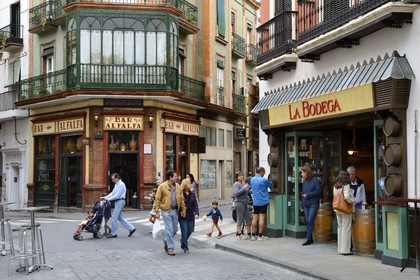 Espagne, Andalousie, Séville, quartier de Santa Cruz, bar à tapas de la calle Alfalfa