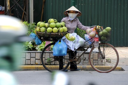 Vietnam, Hanoï, vieille ville, marchande de fruits à vélo