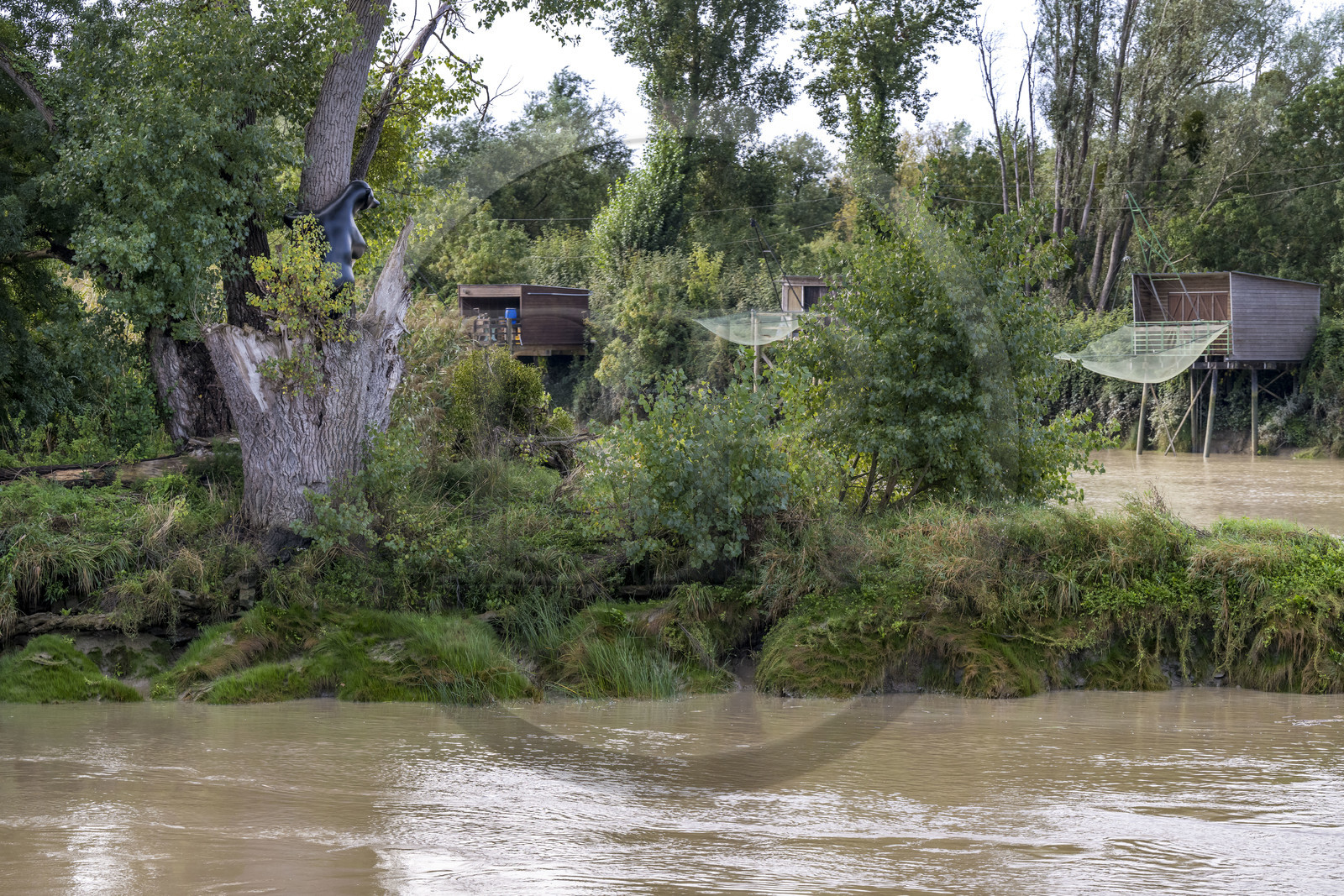 France, Loire-Atlantique (44), Bouguenais, Port Lavigne sur les rives de la Loire, collection d'art contemporain à ciel ouvert Estuaire, The Settlers (“Les Colons”) réalisé par l'artiste américaine Sarah Sze, sculpture d'un ourson qui grimpe sur un arbre, des cabanes de pêche sur pilotis (Carrelet) en arrière plan