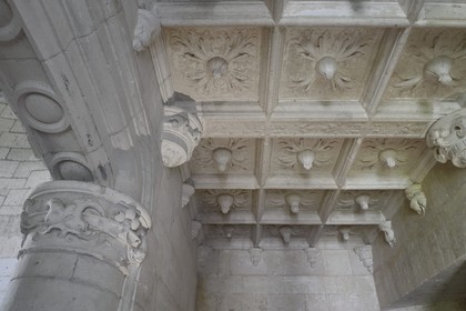 France, Dordogne (24), Périgord Vert, Villars, château de Puyguilhem, plafond à caissons du vestibule du premier étage orné de fleurs de chardons et de salamandres