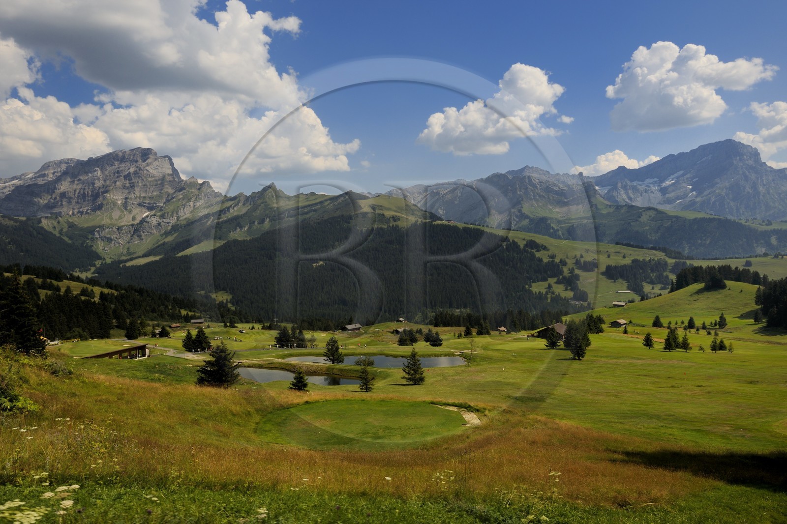 Suisse, Canton de Vaud, golf de Villars sur Ollon