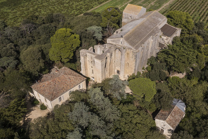 France, Hérault (34), Villeneuve-lès-Maguelone (Palavas-Les-Flots), cathédrale Saint-Pierre-et-Saint-Paul de Maguelone des XIIème et XIIIème siècles entourée de vignes sur son île (vue aérienne)