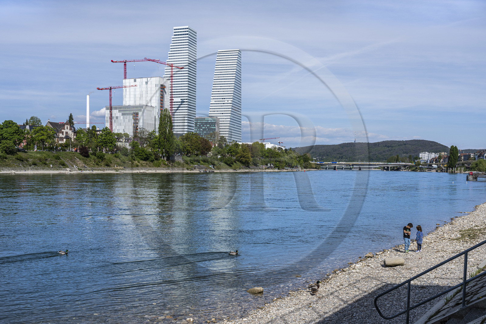 Suisse, Bâle, les Tours Roche, les plus hautes de Suisse signées par les architectes Herzog et de Meuron et les rives du Rhin