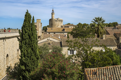 France, Gard, Aigues Mortes, the Tower of Constance on the edge of the ramparts, houses of the old town in the foreground