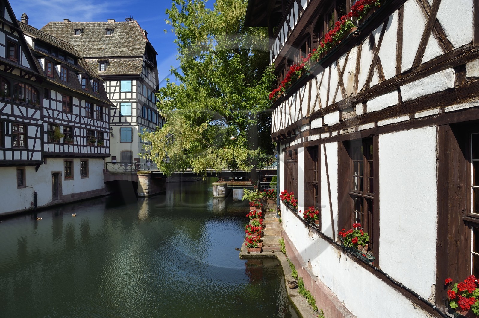 France, Bas-Rhin (67), Strasbourg, vieille ville classée au Patrimoine Mondial de l'UNESCO, quartier de la Petite France, le pont du Faisan sur un bras de l'Ill et la Maison des Tanneurs de 1572 (restaurant) à droite France, Bas-Rhin (67), Strasbourg, vieille ville classée au Patrimoine Mondial de l'UNESCO, quartier de la Petite France, le pont du Faisan sur un bras de l'Ill et la Maison des Tanneurs de 1572 (restaurant) à droite