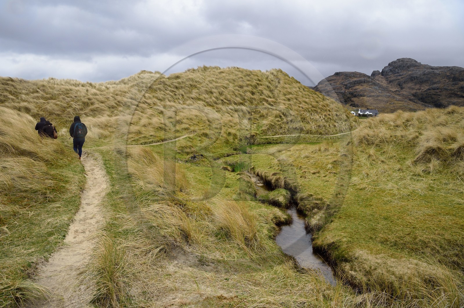 Royaume-Uni, Ecosse, Highland, Lochaber, dunes de Sanna à l'extrémité ouest de la péninsule d'Ardnamurchan