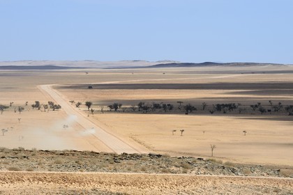 Namibia, Erongo region, Namib Naukluft National Park, Namib Desert, C14 gravel road in the Namib desert and linear oasis in the background
