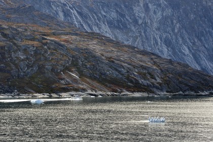 Groenland, cote ouest, baie de Disko, bateau remontant le detroit d'Ataa en longeant la falaise