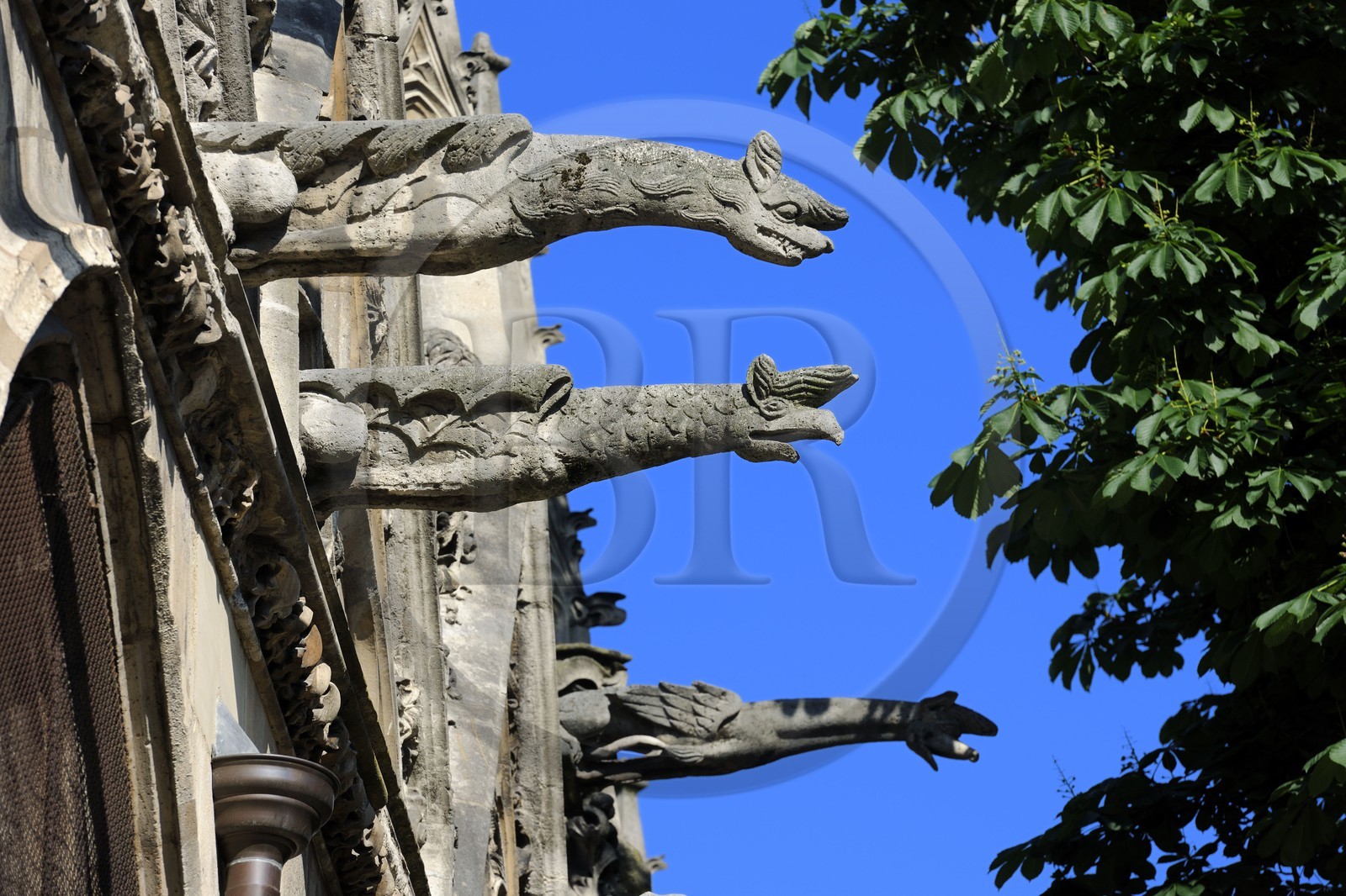 France, Paris (75), Eglise Saint-Séverin