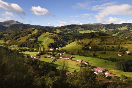 France, Pyrenees Atlantiques, Basque Country, Aldudes valley Pierre Oteiza breeding of Basque black pigs down on the right and Mount Ahadi in the background left