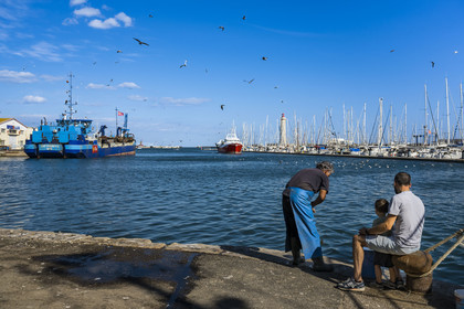 France, Herault, Sete, return of the trawlers from their fishing day followed by their procession of seagulls and the mole Saint-Louis lighthouse in the background