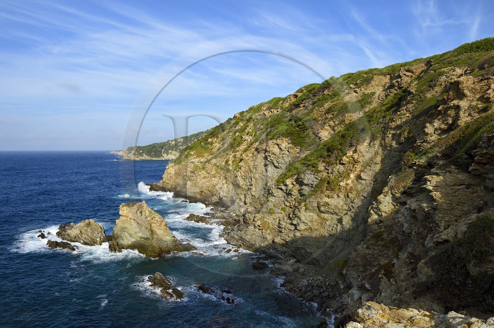 France, Var (83), Iles d'Hyères, parc national de Port Cros, Ile de Porquerolles, la côte Sud-Ouest vers la Gorge du Loup