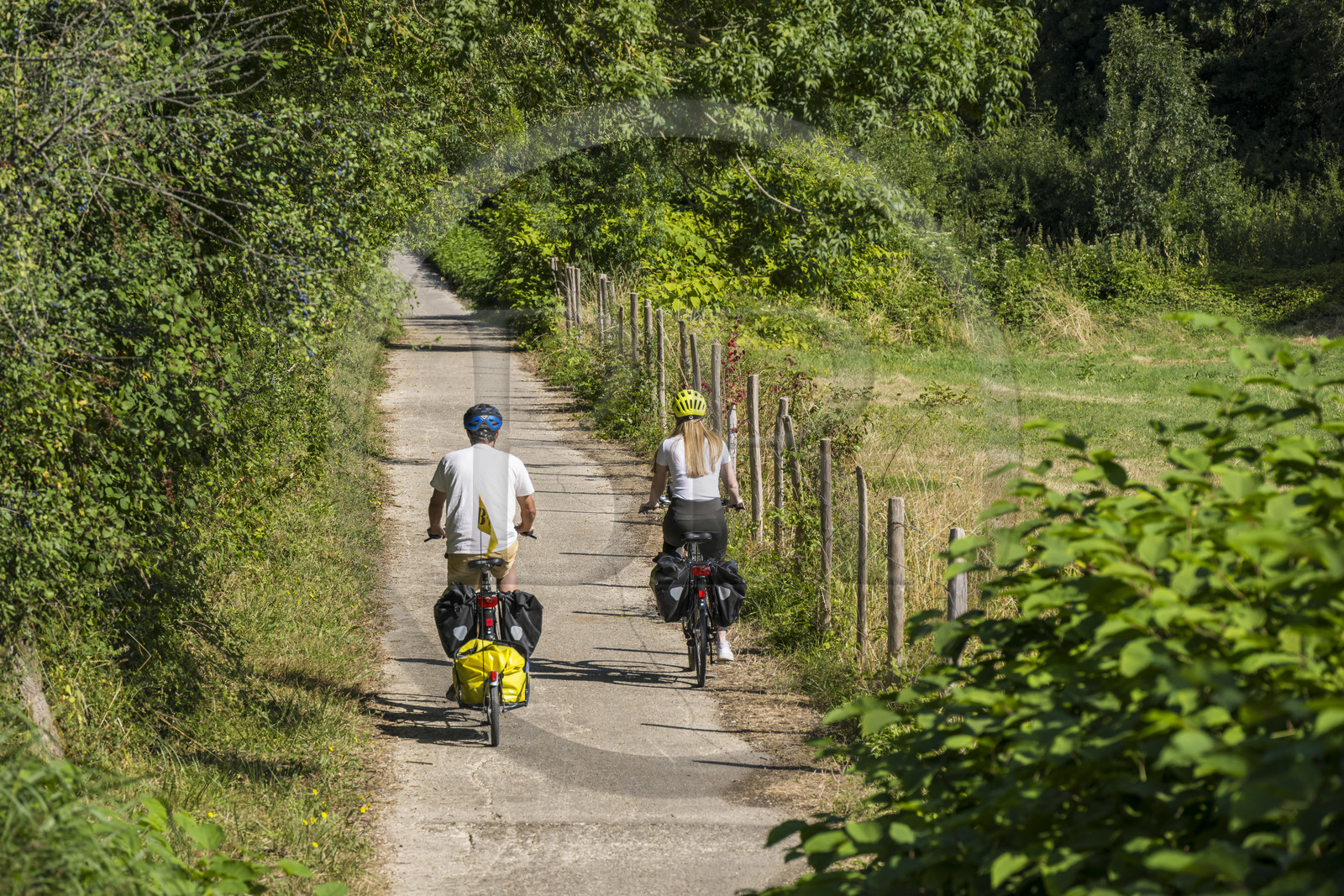 France, Maine-et-Loire (49), vallée de la Loire classée au Patrimoine Mondial par l'UNESCO, Saumur vers Saint-Hilaire, randonnée à bicyclette le long des berges de la Loire sur la piste cyclable La Loire à Vélo, vélo avec une remorque transportant le matériel de camping