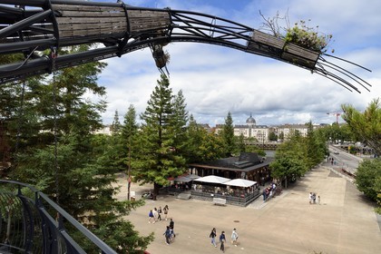 France, Loire-Atlantique, Nantes, gallery of the Machines de l'Ile in the hangars of former shipyards, an artistic project created by François Delaroziere and Pierre Orefice, prototype branch of the Heron Tree