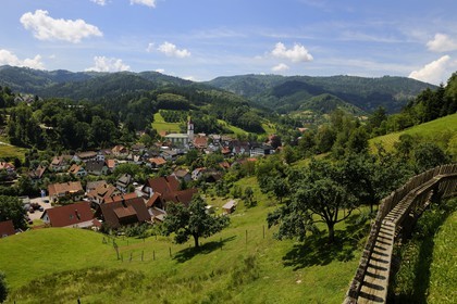 Germany, Black Forest, Schwarzwald, Baden-Württemberg, Ottenhöffen