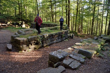 France, Bas Rhin, Mont Saint Odile, hike around the Pagan Wall, vestige of a wall probably from the Merovingian period with a total length of eleven kilometers, Zumstein gate discovered in 1968