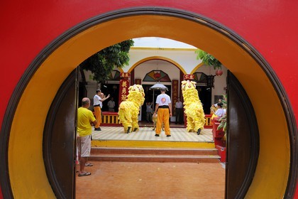 France, île de la Réunion, Saint-Pierre, danse traditionnelle du dragon à l'occasion des fêtes du nouvel an chinois dans un temple