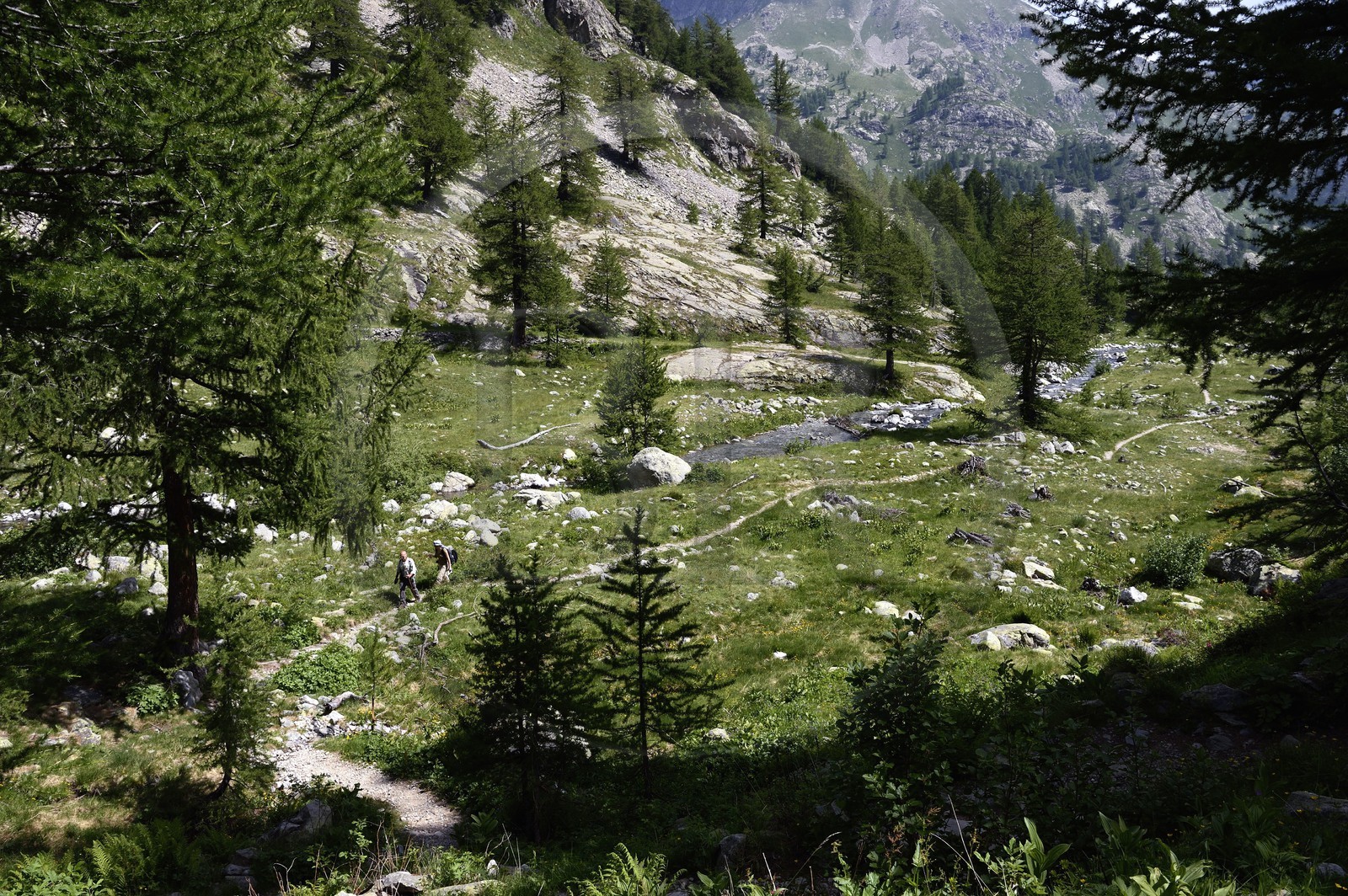 France, Alpes-Maritimes (06), parc national du Mercantour, randonneurs sur le sentier de randonnée de la vallée de la Valmasque France, Alpes-Maritimes (06), parc national du Mercantour, randonneurs sur le sentier de randonnée de la vallée de la Valmasque