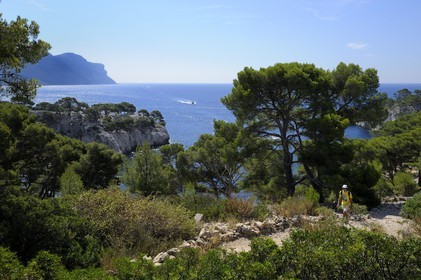 France, Bouches-du-Rhône (13), Cassis, presqu'île de Port Miou et les falaises du Cap Canaille en arrière plan