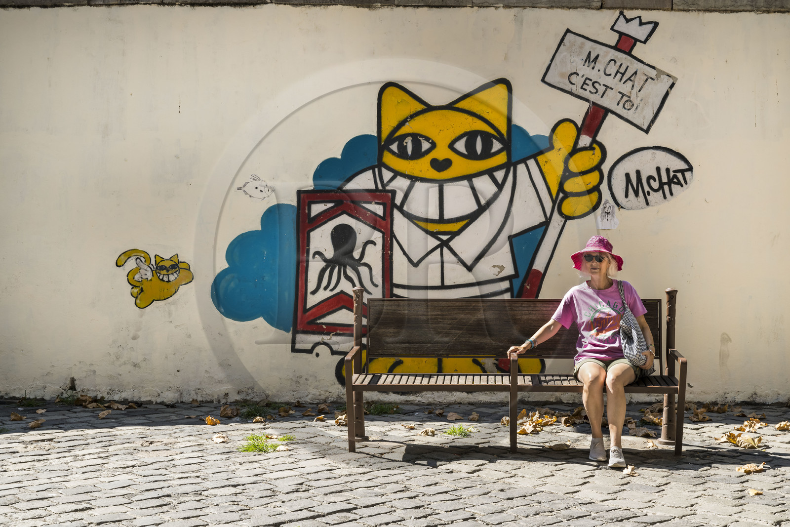 France, Hérault (34), Sète, le Quartier Haut, fresque murale qui fait parti du MACO - Musée à ciel ouvert, Chat c'est toi de l'artiste Mr Chat sur la Place Léon Blum