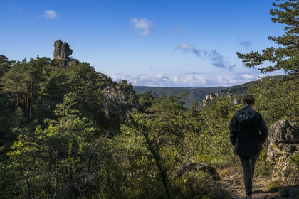 France, Aveyron, Causses and the Cevennes, cultural landscape of Mediterranean agro-pastoralism, listed as World heritage by UNESCO, Causse Noir, La Roque Sainte Marguerite, chaos of Montpellier-le-Vieux, the Cité de Pierres (City of Stones), the rock called Tête d'Ours