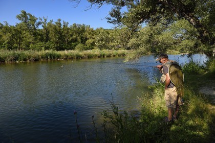 France, Alpes-de-Haute-Provence (04), parc naturel régional du Verdon, Gréoux-les-Bains, peche à la truite sur les rives du Verdon