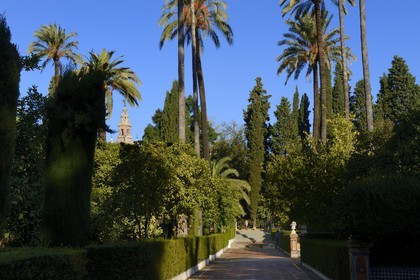 Spain, Andalusia, Seville, the Alcazar of Seville (Reales Alcazares de Sevilla), listed as World Heritage by UNESCO, the gardens