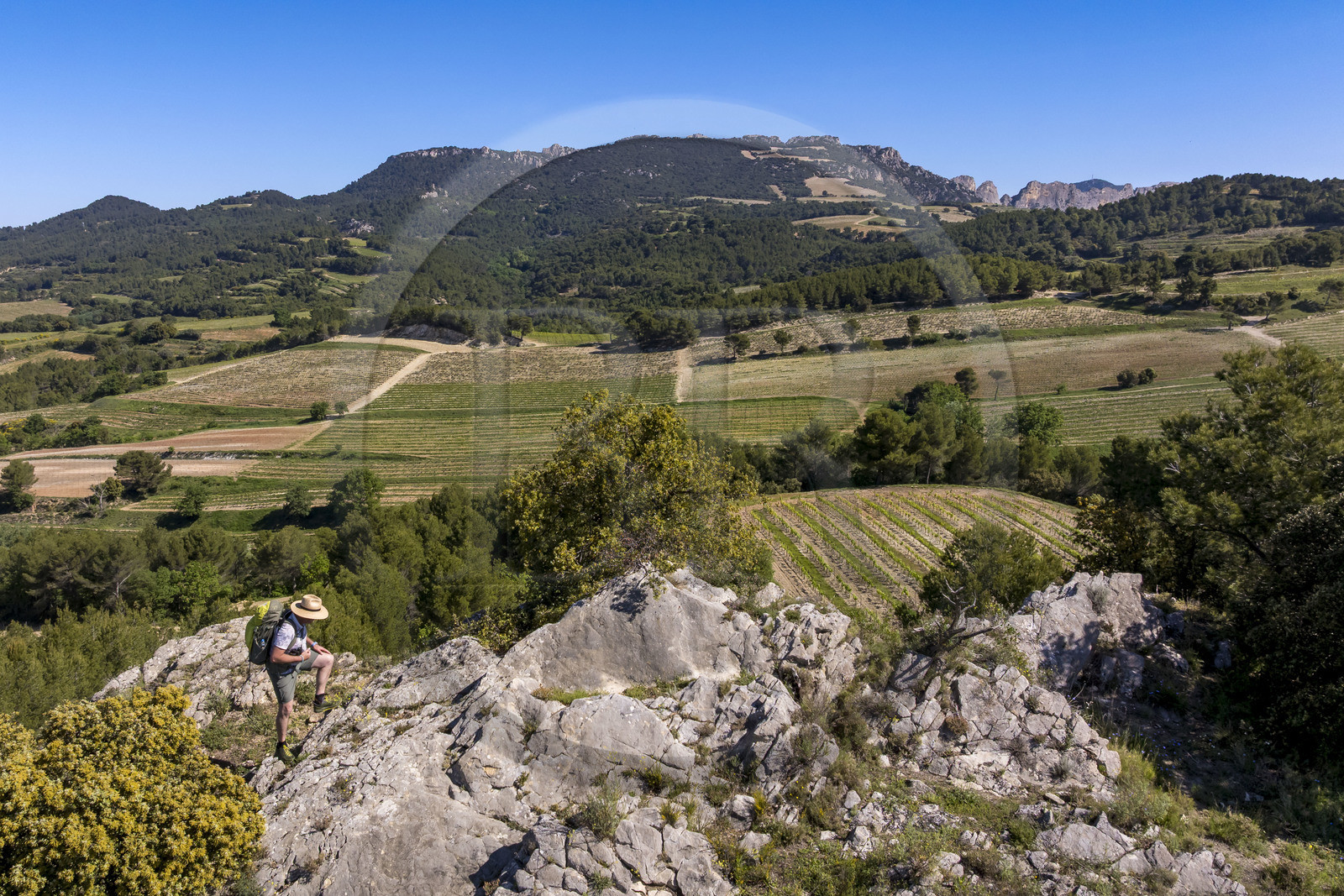 France, Vaucluse (84), Dentelles de Montmirail, Beaumes-de-Venise, randonneurs sur le plateau des Courens et la montagne du Clapis en arrière plan (vue aérienne)