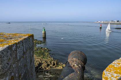France, Morbihan (56), Port-Louis, la citadelle de Port-Louis remaniée par Vauban à l'entrée de la rade de Lorient, canon sur les remparts, Larmor-Plage en arrière plan