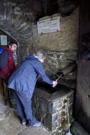 France, Ardeche, parc naturel regional des Monts d'Ardeche (Regional natural reserve of the Mounts of Ardeche), at Mont Gerbier de Jonc (altitude of 1551m), among the three sources of the Loire, the geographical source in the Ferme de la Loire of Mr. Eric Maréchal
