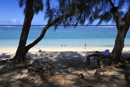 France, île de la Réunion, la Cote Ouest, plage du lagon de Saint-Gilles-Les-Bains à l'Ermitage-les-Bains et filaos