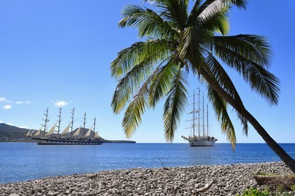 Caribbean, Dominica Island, Portsmouth, the Royal Clipper and the Star Flyer of the Star Clipper company in Prince Rupert Bay