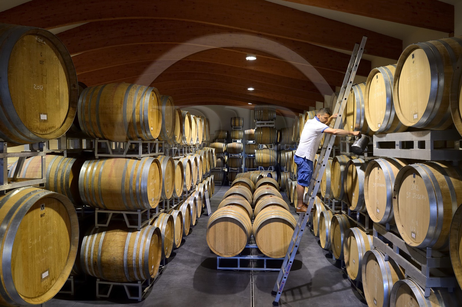 France, Loire, Parc Naturel Regional du Pilat (Natural Regional Park of Pilat), the domaine du Monteillet Stephane Montez, Stephane Montez in his wine cave