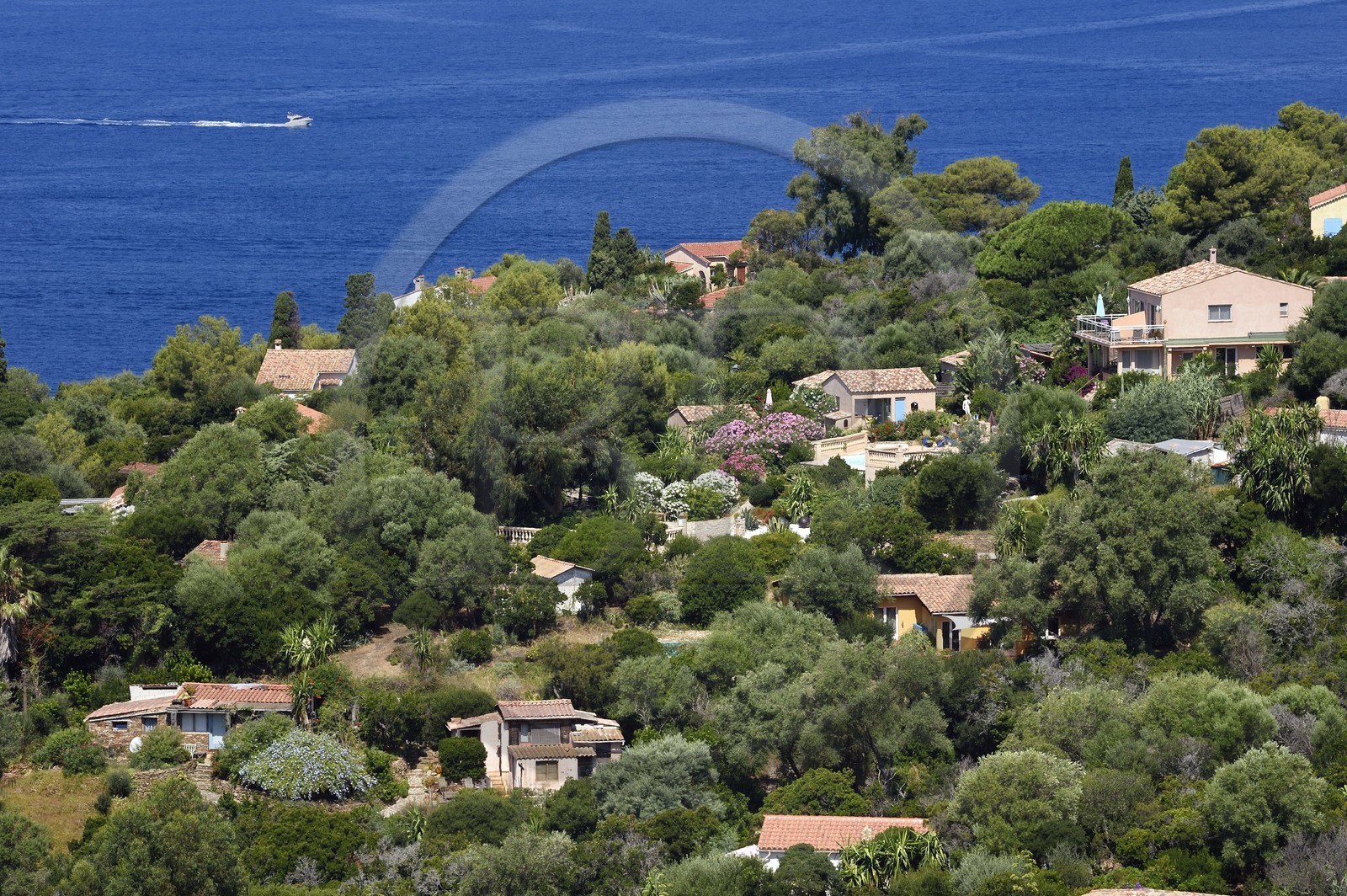 France, Var (83), Iles d'Hyères, Parc national de Port Cros, Ile du Levant, domaine naturiste d'Héliopolis